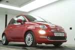 Image 15