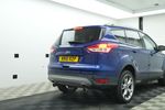 Image 15