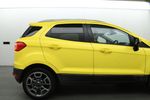 Image 13
