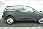 Image 14